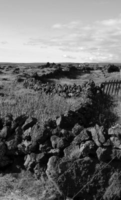 Image 135<br>20 ao&ucirc;t 2008<br>Serpent min&eacute;ral